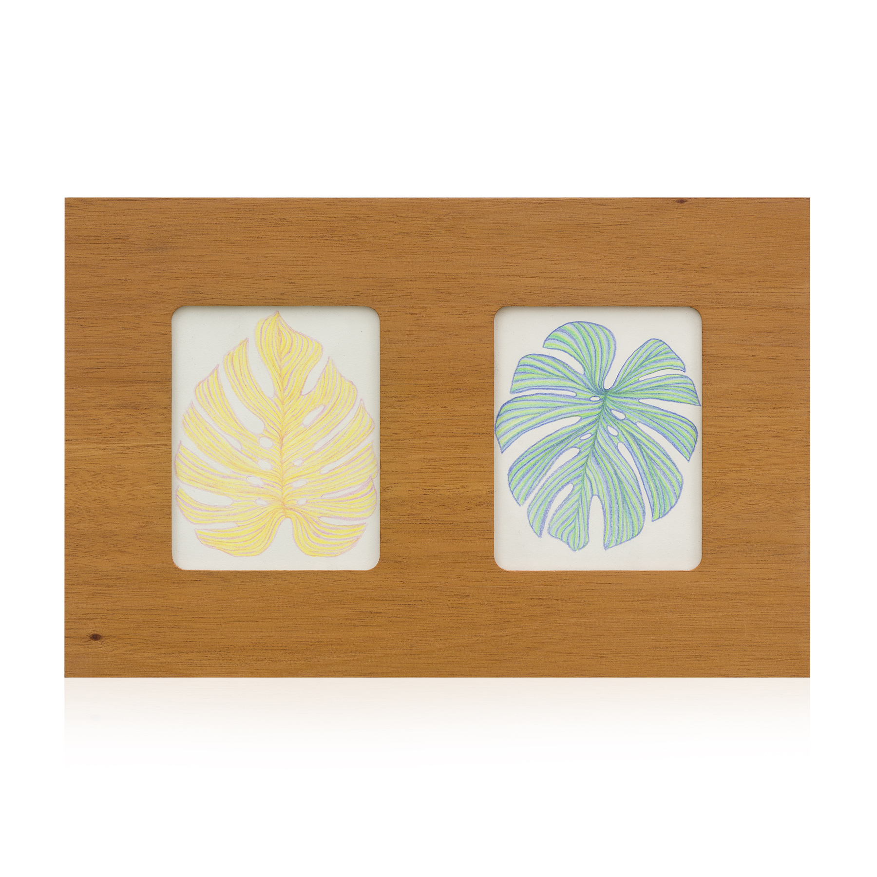 Monstera Drawing Duo 1_1